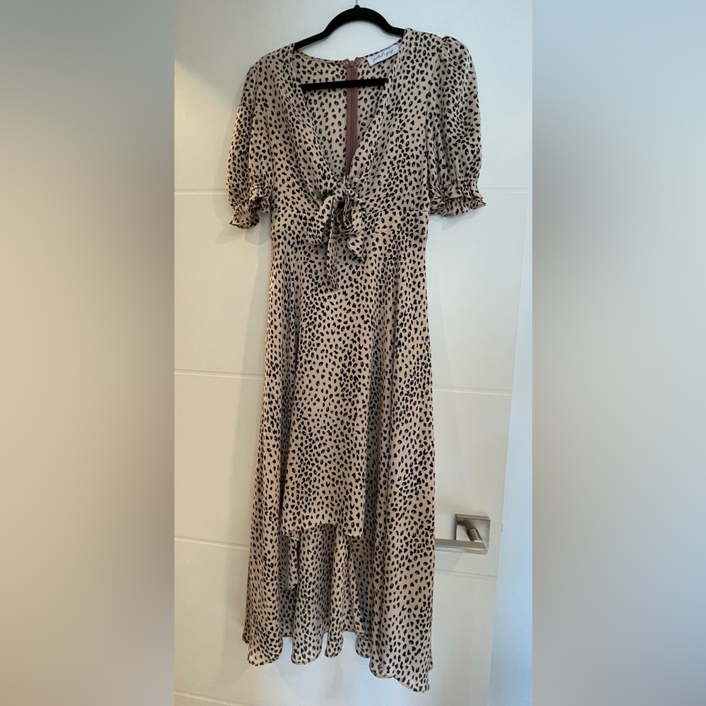 Petal & Pup Dress